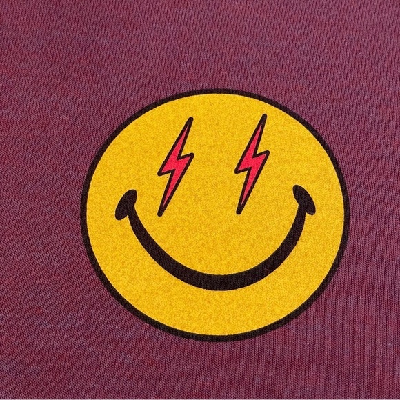 Aviator Nation Will Ferrell Bolt Smiley Relaxed Pullover Hoodie Plum Large - Picture 8 of 11